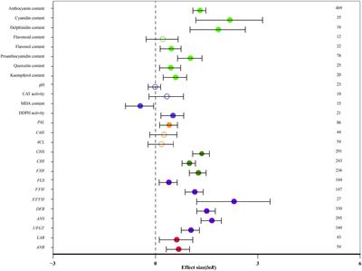 Meta-Analysis of the Effect of Overexpression of MYB Transcription Factors on the Regulatory Mechanisms of Anthocyanin Biosynthesis